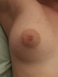 Large Areola, Small Breast.jpg